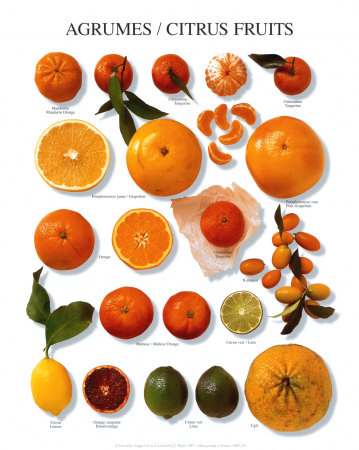 citrus fruit